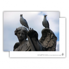 Postkarte | Tauben auf Statue